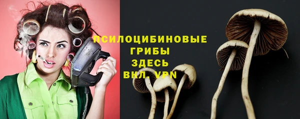mdpv Верхний Тагил