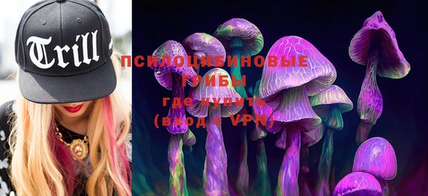 mdpv Верхний Тагил